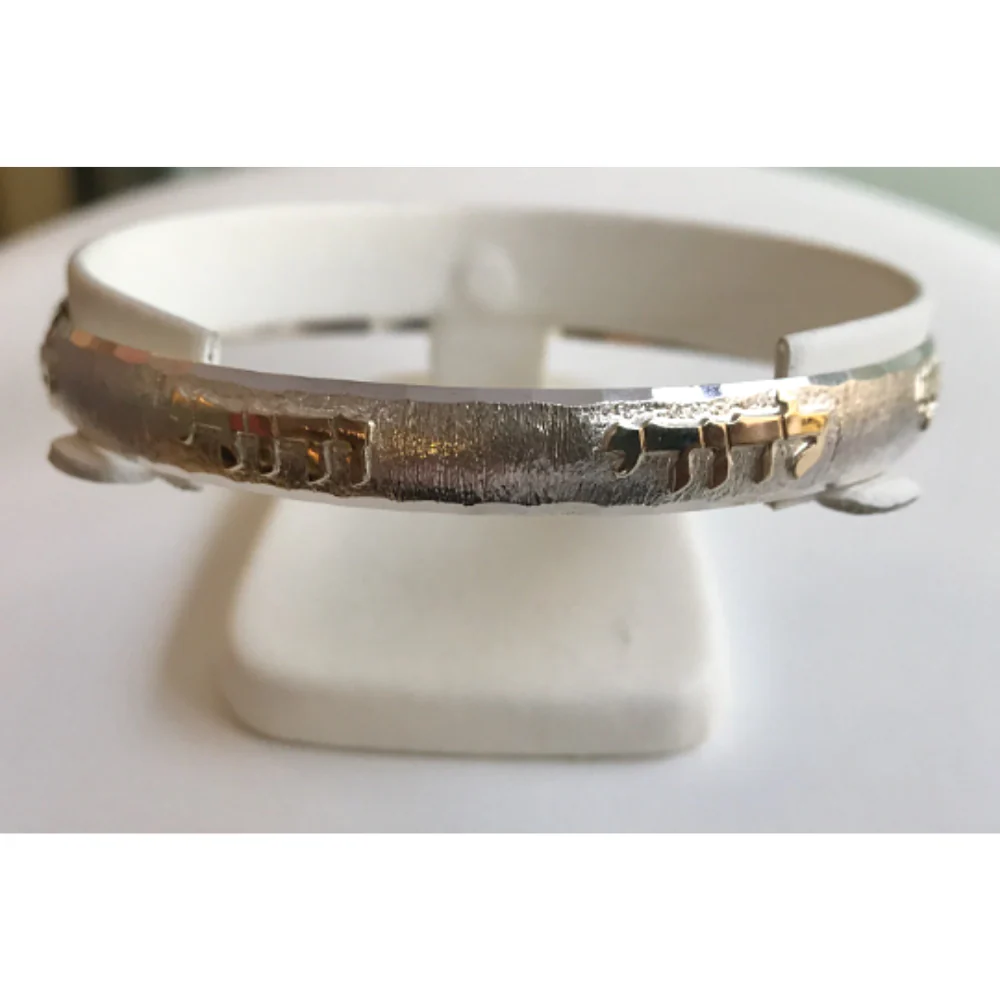 Ani L'Dodi Bangle Bracelet in Brushed Silver and Gold - Image 4