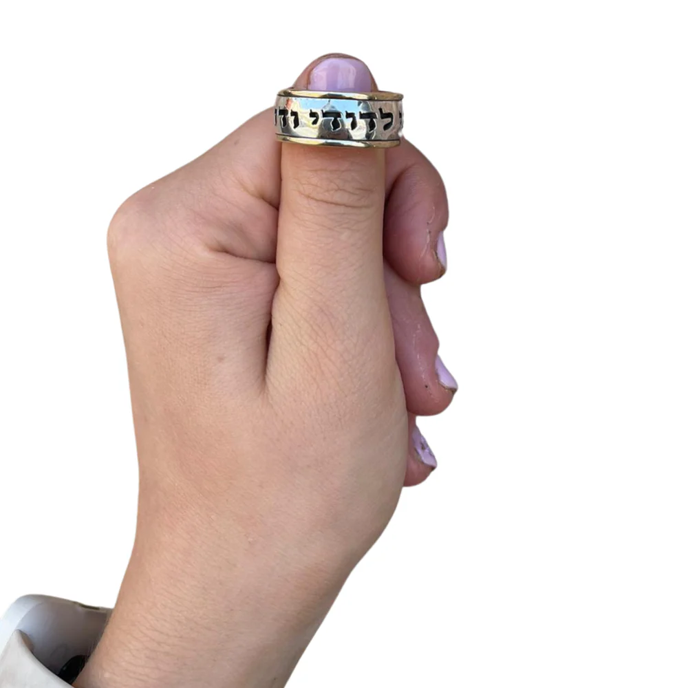 Sterling Silver Wide 14k Gold Bordered Ani Ledodi Ring - Image 3
