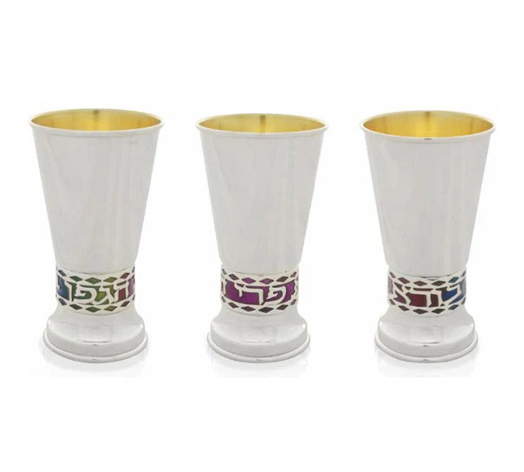 Kiddush Cup - Gad Enamel Embellished Silver