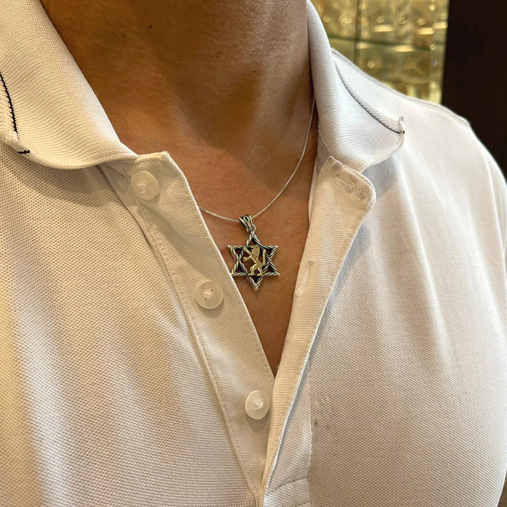 Lion of Judah & Star of David Necklace in 9K Gold and Silver - Image 4