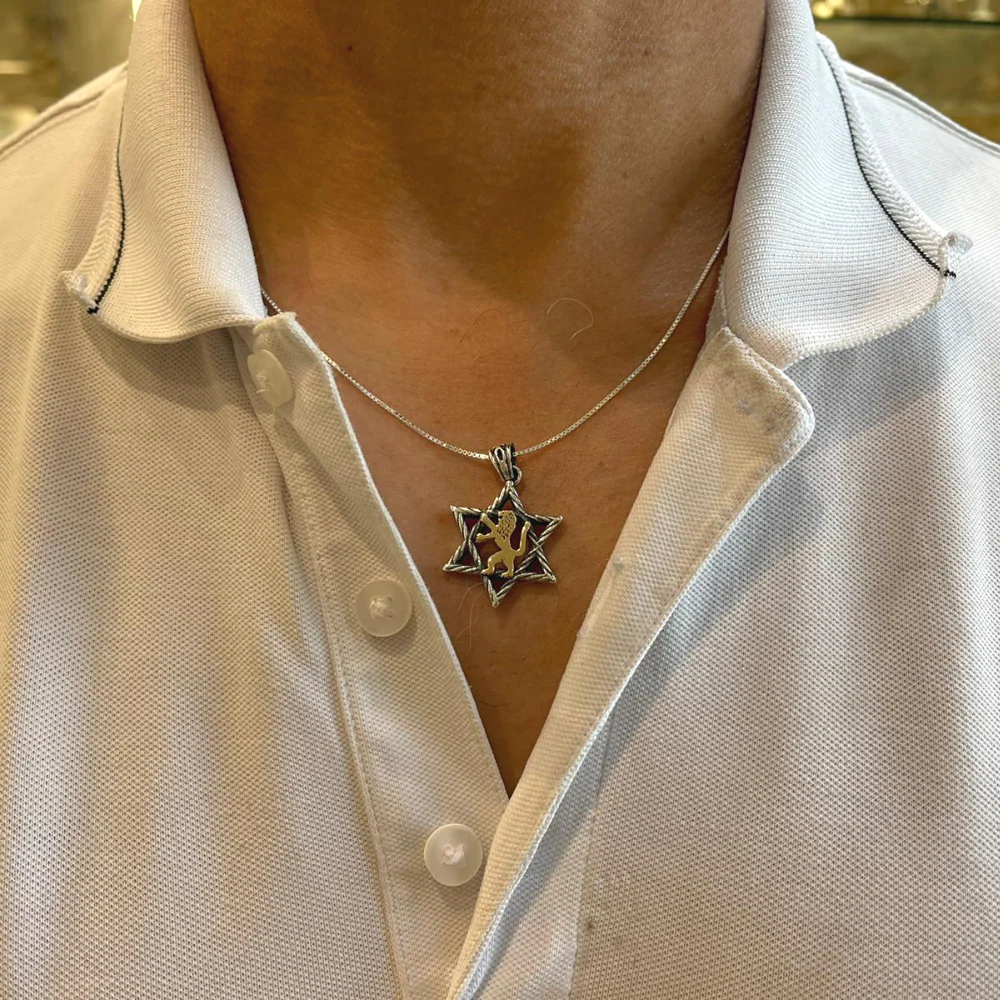 Lion of Judah & Star of David Necklace in 9K Gold and Silver - Image 5