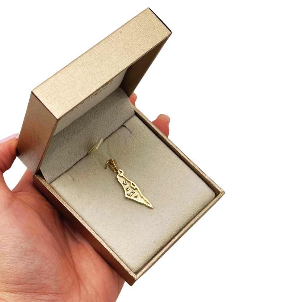 Star of David, Am Israel Chai in Map of Israel Pendant - 14K Gold - Image 5