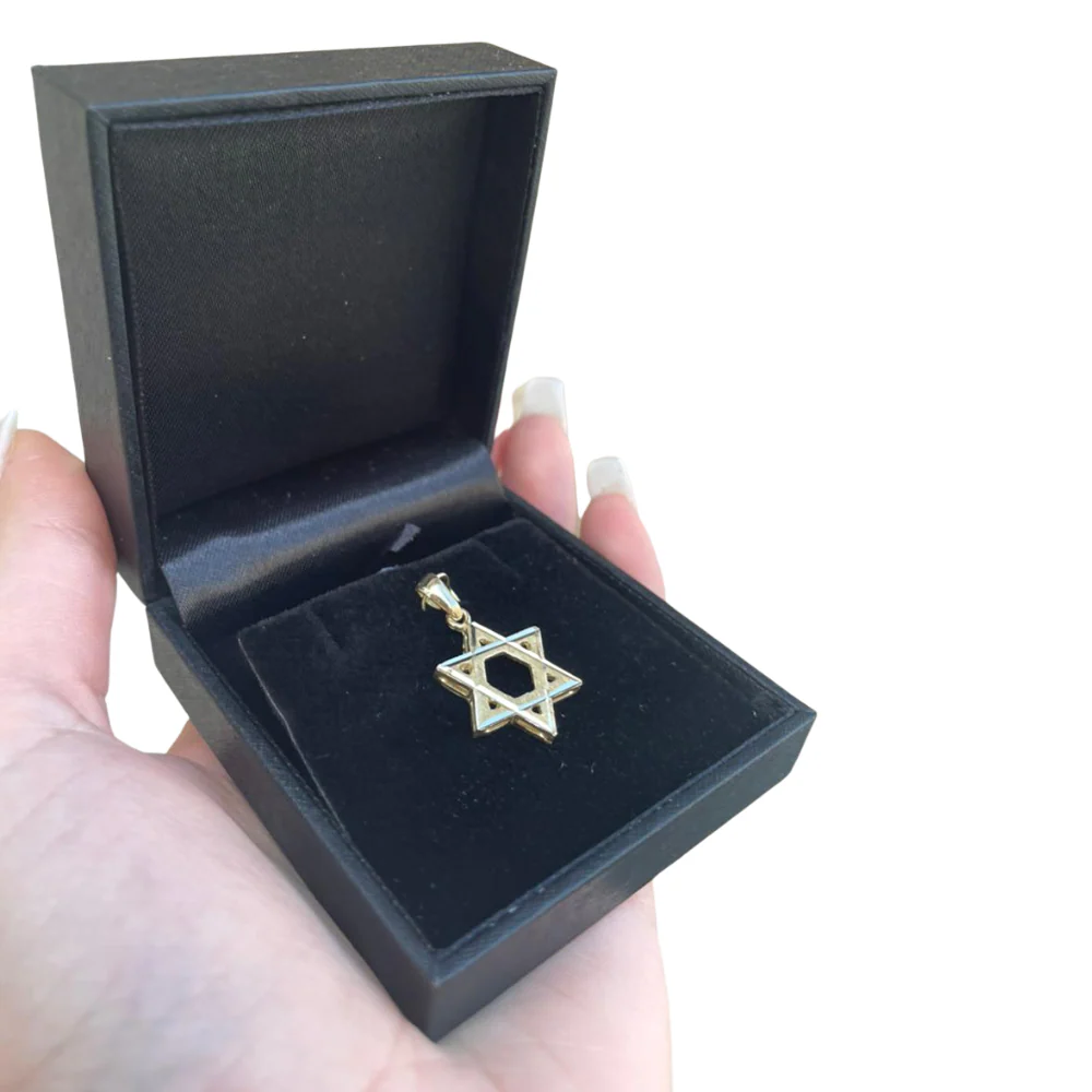 Star of David Pendant - with Lines Dual Finish 14k Gold - Image 4
