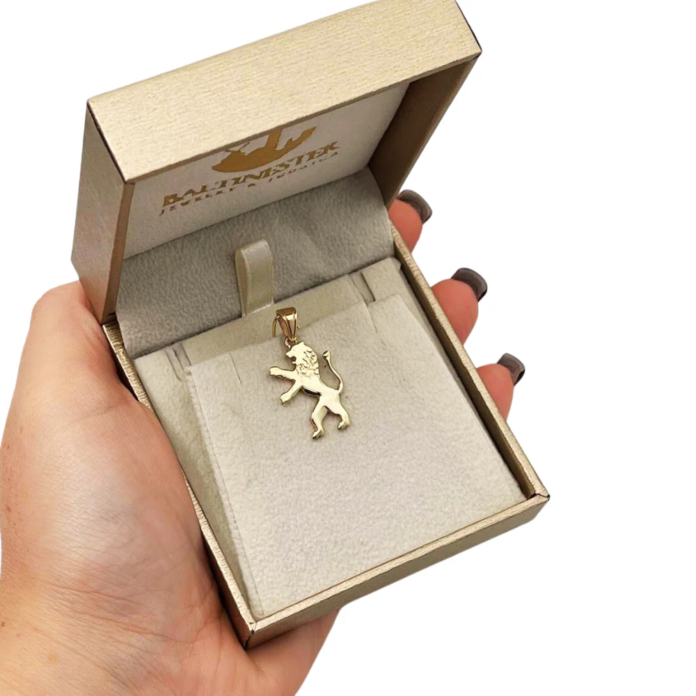 Lion of Judah 14k Gold Pendant - Small - Image 6