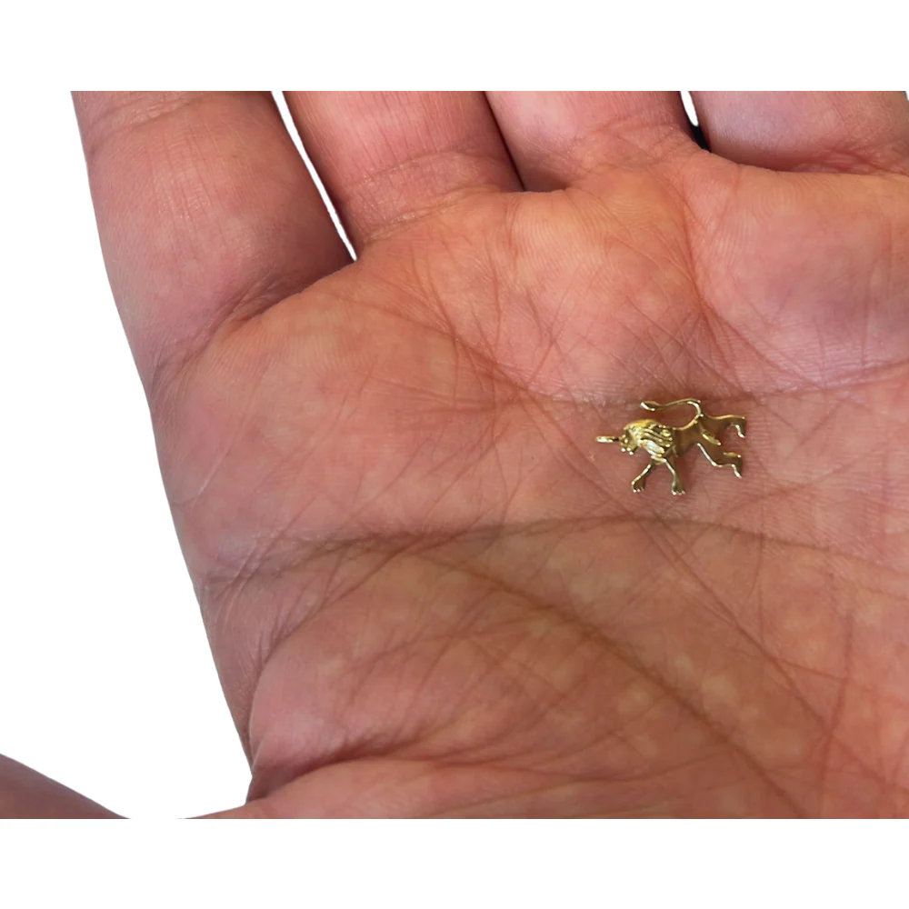 Tiny 14K Gold Tribe of Judah Lion Pendant - Image 3