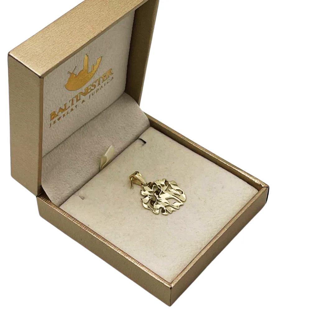 14k Gold Shema Yisrael Flame Pendant - Image 5