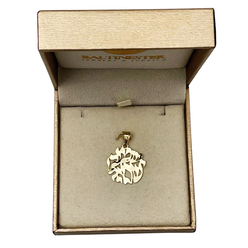 14k Gold Shema Yisrael Flame Pendant - Image 6