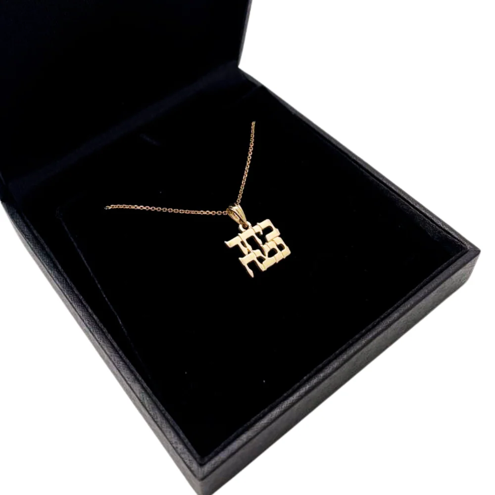 Together We Will Win Hebrew Pendant in 14K Gold - Support Israel - Image 6