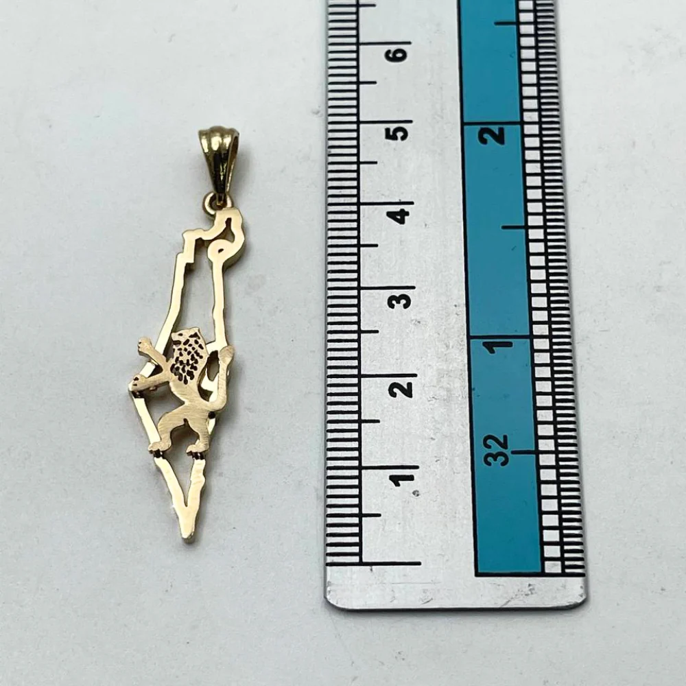 Map of Israel and Lion of Judah Pendant in 14K Gold - Image 4