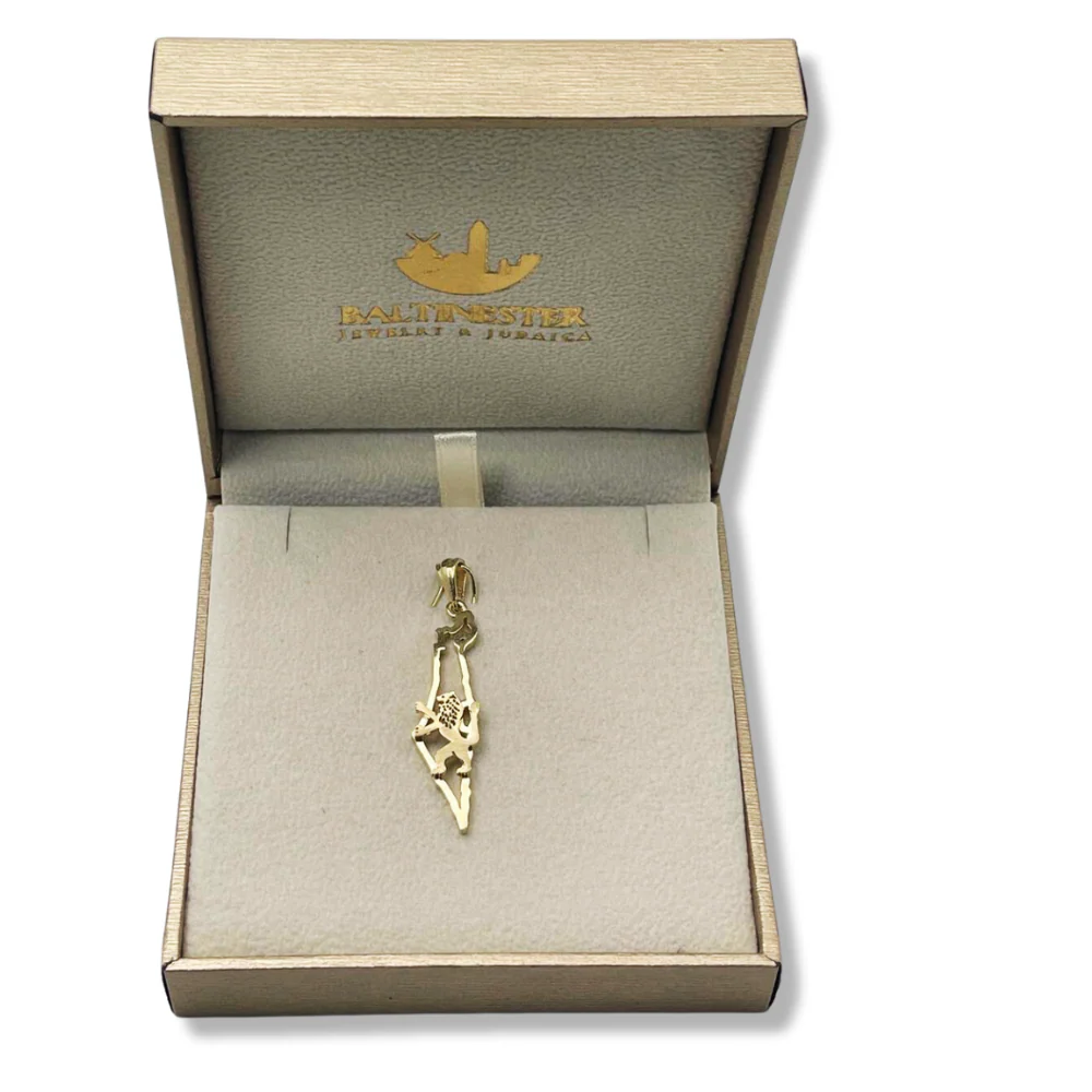 Map of Israel and Lion of Judah Pendant in 14K Gold - Image 6