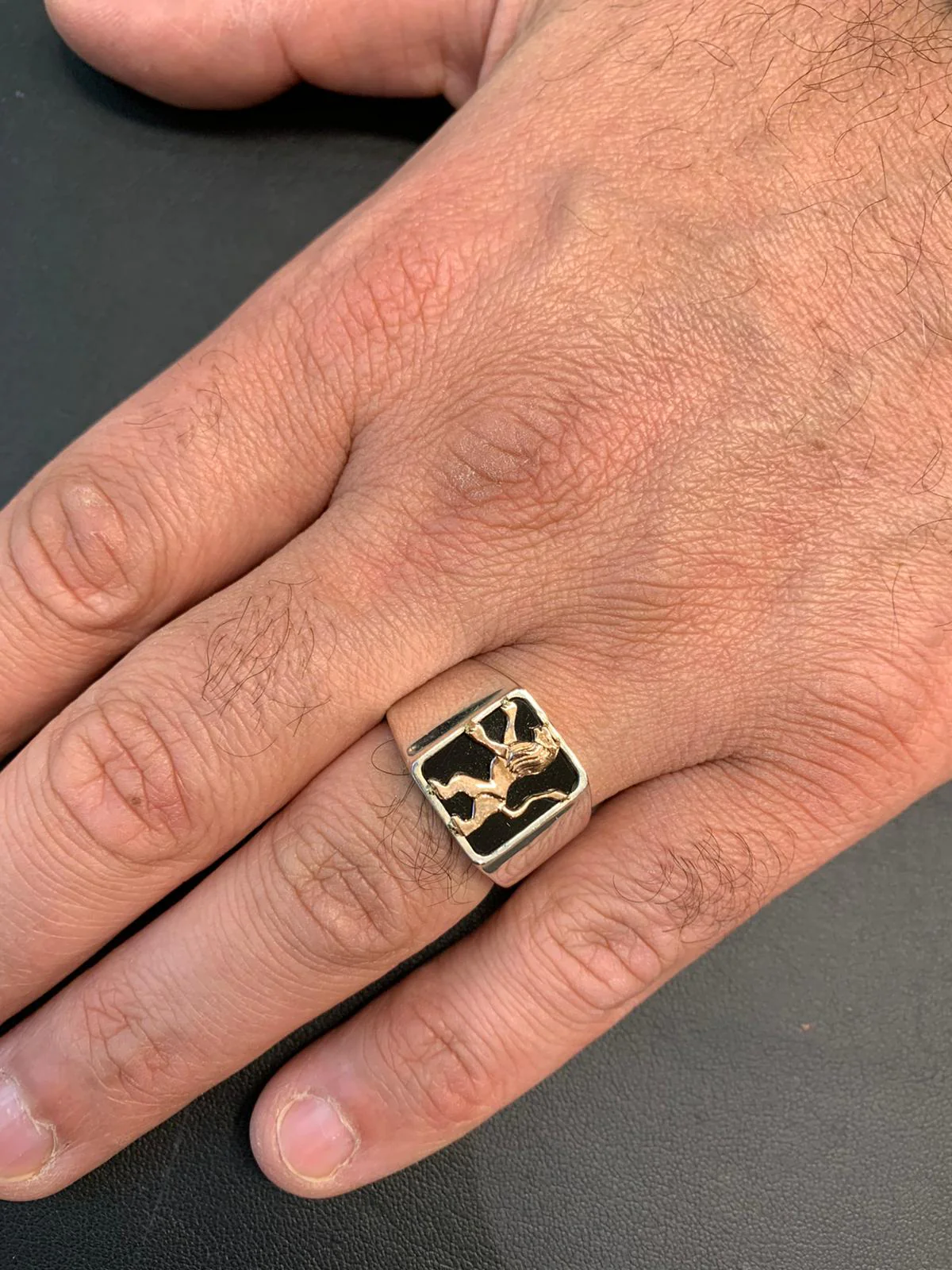 Lion of Judah Signet Ring in 14k Gold with Onyx - Image 4