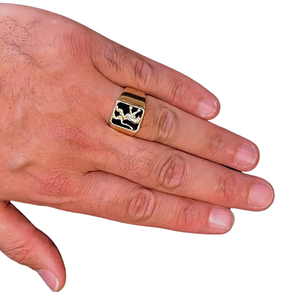 Lion of Judah Signet Ring in 14k Gold with Onyx - Image 6