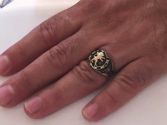 14K Gold Men's Signet Ring Lion of Judah - Image 2