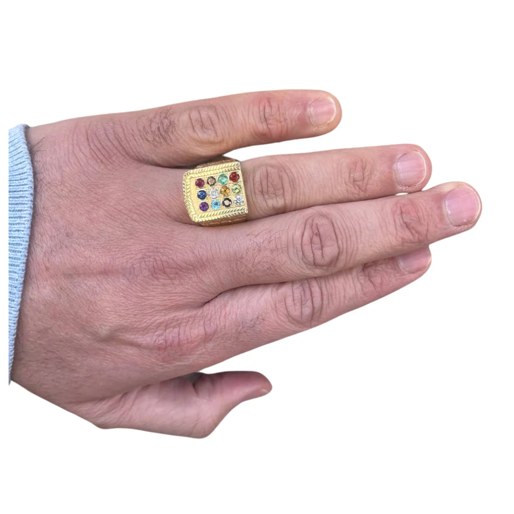 Choshen Semi-Precious Stones Men's Signet Ring in 14K Gold - Image 3